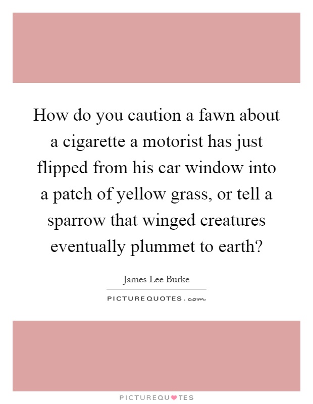 How do you caution a fawn about a cigarette a motorist has just flipped from his car window into a patch of yellow grass, or tell a sparrow that winged creatures eventually plummet to earth? Picture Quote #1