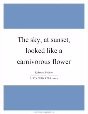 The sky, at sunset, looked like a carnivorous flower Picture Quote #1