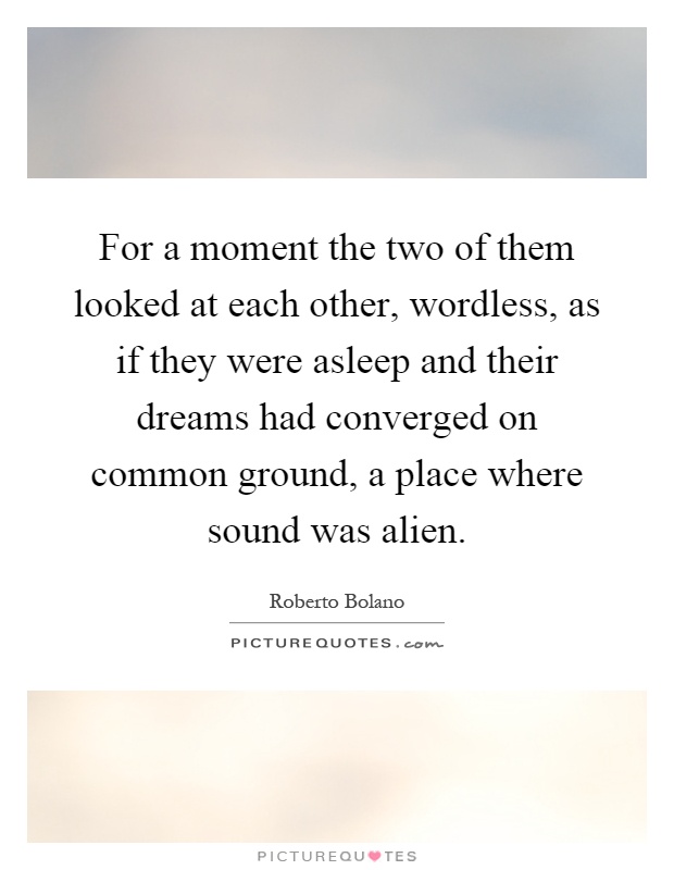 For a moment the two of them looked at each other, wordless, as if they were asleep and their dreams had converged on common ground, a place where sound was alien Picture Quote #1