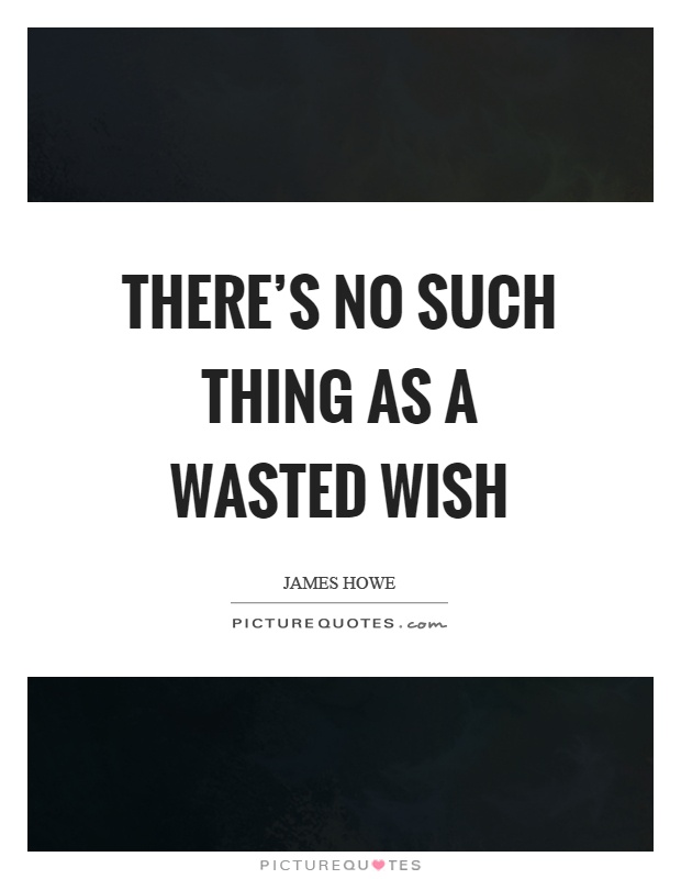 There's no such thing as a wasted wish Picture Quote #1