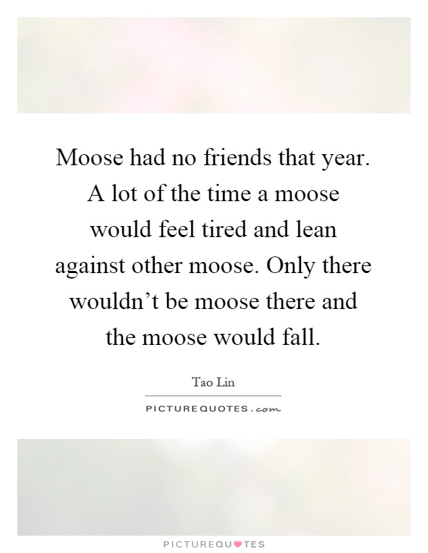 Moose had no friends that year. A lot of the time a moose would feel tired and lean against other moose. Only there wouldn't be moose there and the moose would fall Picture Quote #1