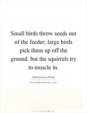 Small birds throw seeds out of the feeder; large birds pick them up off the ground, but the squirrels try to muscle in Picture Quote #1