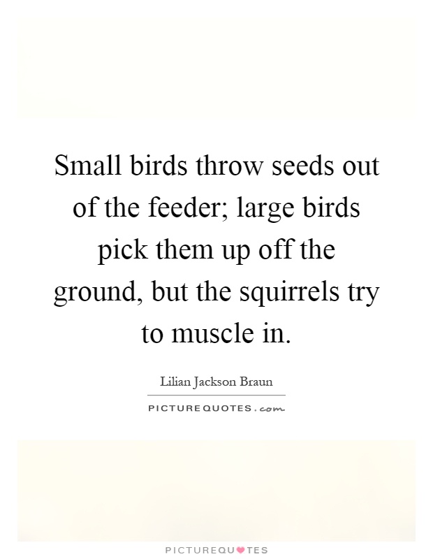 Small birds throw seeds out of the feeder; large birds pick them up off the ground, but the squirrels try to muscle in Picture Quote #1