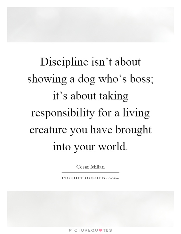Discipline isn't about showing a dog who's boss; it's about taking responsibility for a living creature you have brought into your world Picture Quote #1