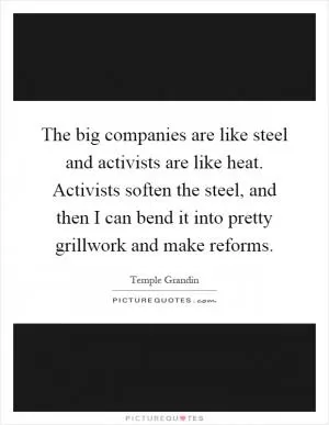 The big companies are like steel and activists are like heat. Activists soften the steel, and then I can bend it into pretty grillwork and make reforms Picture Quote #1
