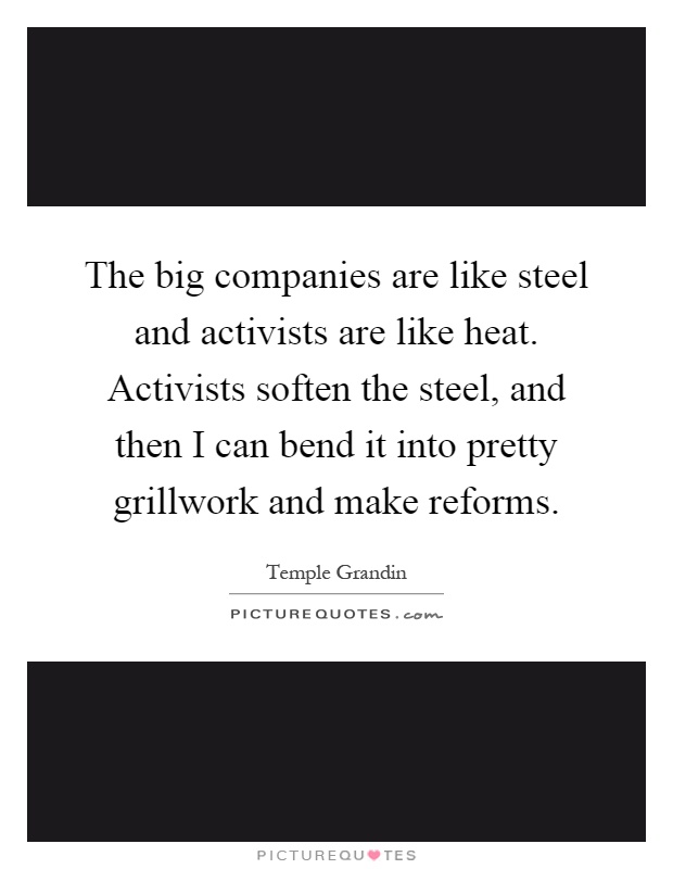 The big companies are like steel and activists are like heat. Activists soften the steel, and then I can bend it into pretty grillwork and make reforms Picture Quote #1