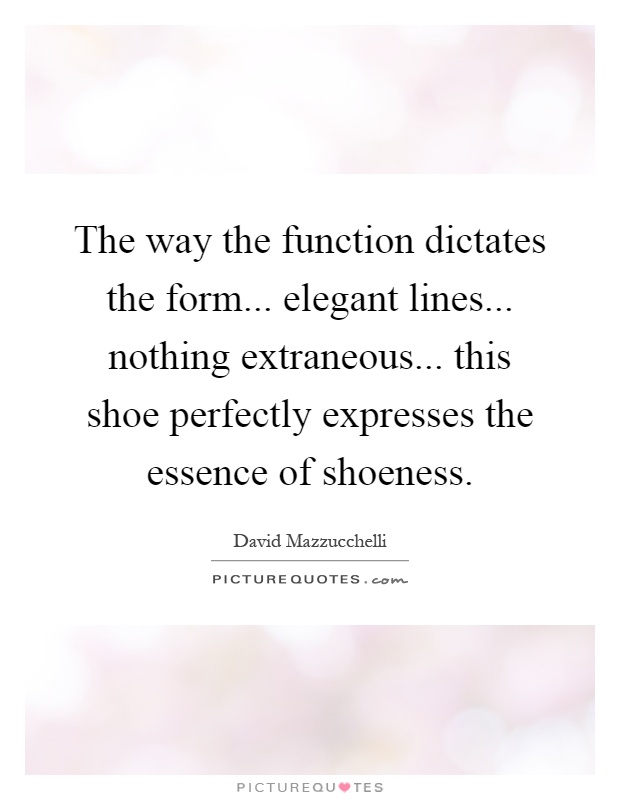 The way the function dictates the form... elegant lines... nothing extraneous... this shoe perfectly expresses the essence of shoeness Picture Quote #1