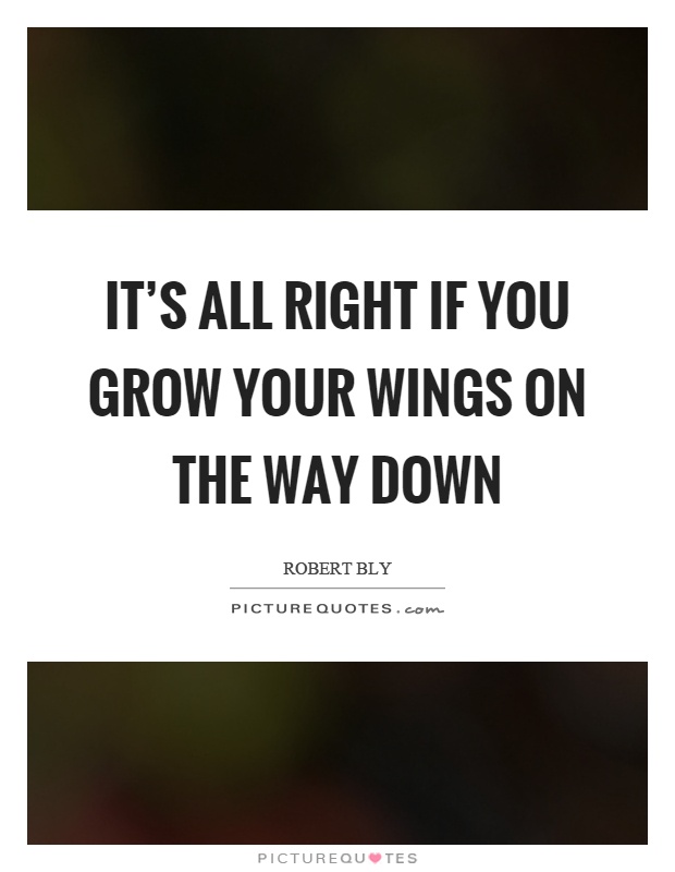 It's all right if you grow your wings on the way down Picture Quote #1
