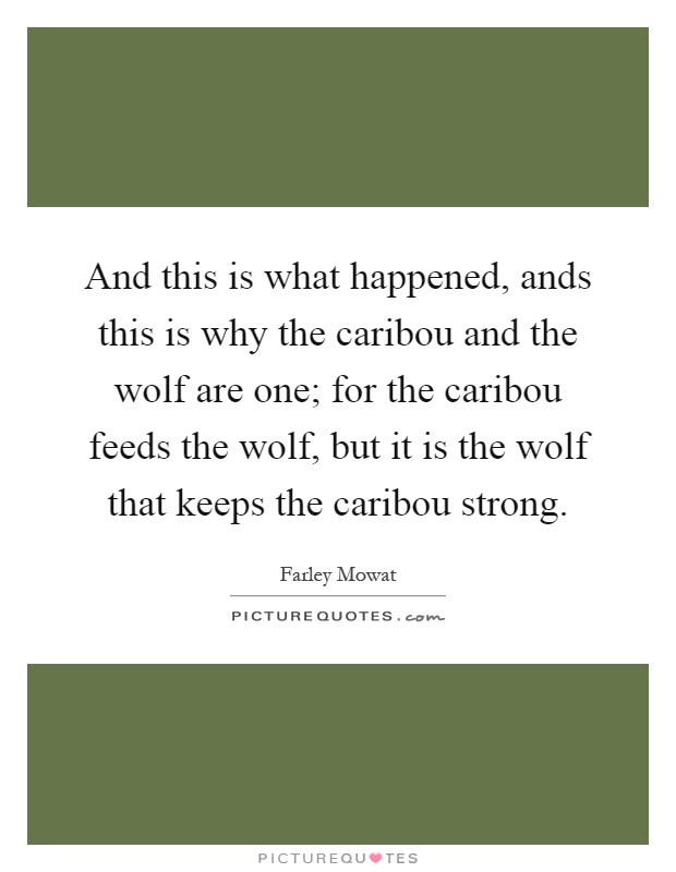 And this is what happened, ands this is why the caribou and the wolf are one; for the caribou feeds the wolf, but it is the wolf that keeps the caribou strong Picture Quote #1