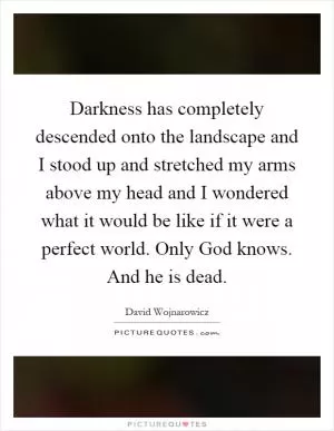 Darkness has completely descended onto the landscape and I stood up and stretched my arms above my head and I wondered what it would be like if it were a perfect world. Only God knows. And he is dead Picture Quote #1