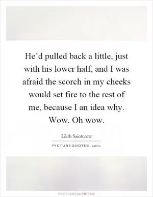He’d pulled back a little, just with his lower half, and I was afraid the scorch in my cheeks would set fire to the rest of me, because I an idea why. Wow. Oh wow Picture Quote #1