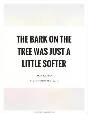 The bark on the tree was just a little softer Picture Quote #1