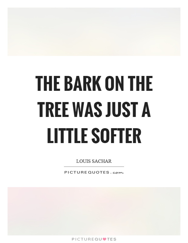 The bark on the tree was just a little softer Picture Quote #1