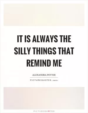 It is always the silly things that remind me Picture Quote #1