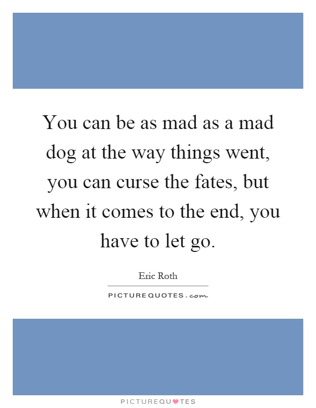 You can be as mad as a mad dog at the way things went, you can curse the fates, but when it comes to the end, you have to let go Picture Quote #1