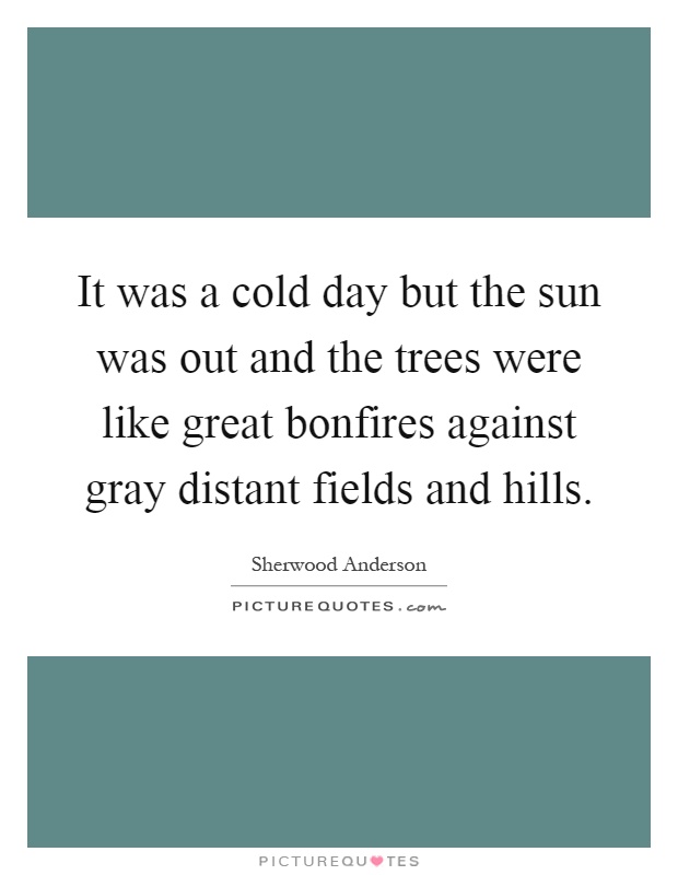 It was a cold day but the sun was out and the trees were like great bonfires against gray distant fields and hills Picture Quote #1