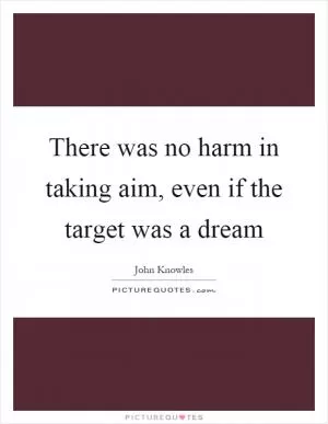 There was no harm in taking aim, even if the target was a dream Picture Quote #1