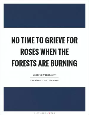 No time to grieve for roses when the forests are burning Picture Quote #1