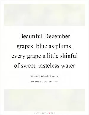 Beautiful December grapes, blue as plums, every grape a little skinful of sweet, tasteless water Picture Quote #1