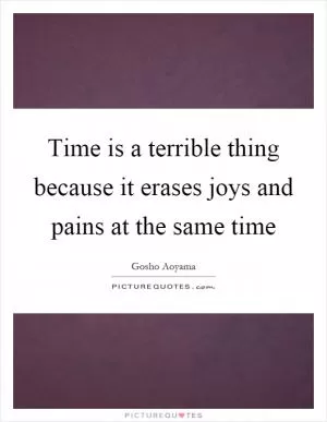 Time is a terrible thing because it erases joys and pains at the same time Picture Quote #1