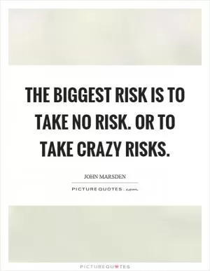 The biggest risk is to take no risk. or to take crazy risks Picture Quote #1