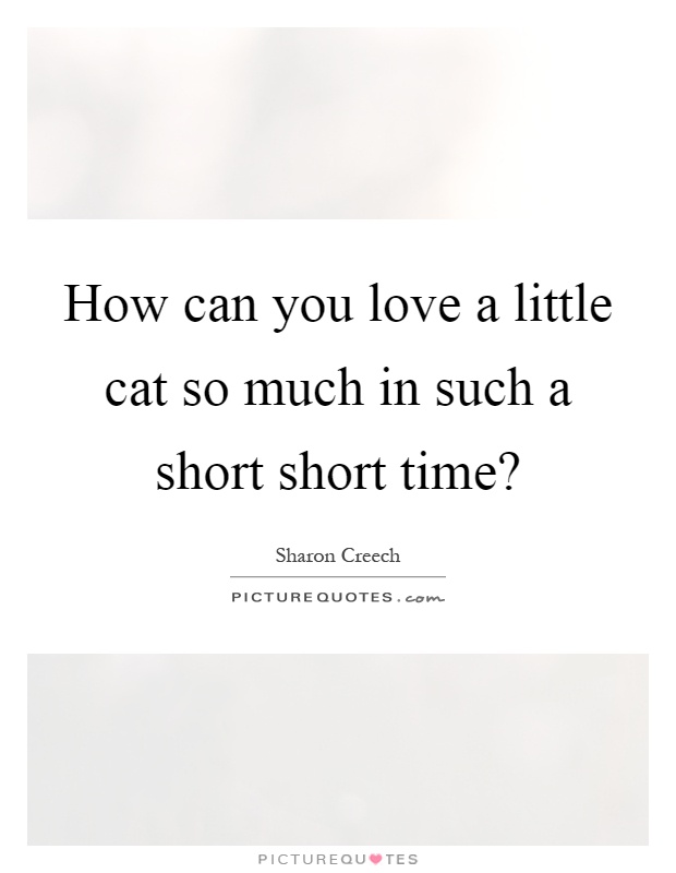 How can you love a little cat so much in such a short short time? Picture Quote #1
