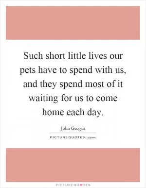Such short little lives our pets have to spend with us, and they spend most of it waiting for us to come home each day Picture Quote #1