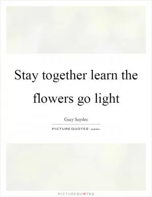 Stay together learn the flowers go light Picture Quote #1