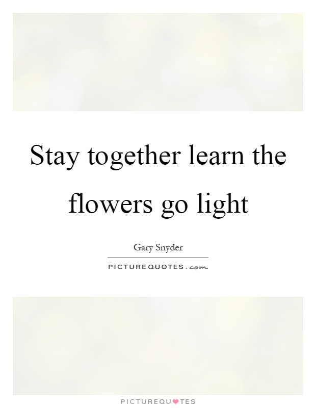 Stay together learn the flowers go light Picture Quote #1