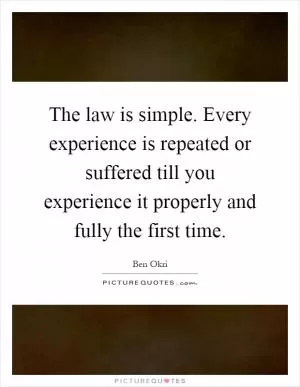 The law is simple. Every experience is repeated or suffered till you experience it properly and fully the first time Picture Quote #1