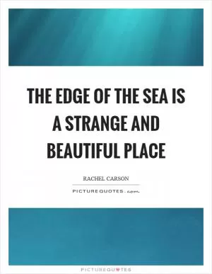 The edge of the sea is a strange and beautiful place Picture Quote #1