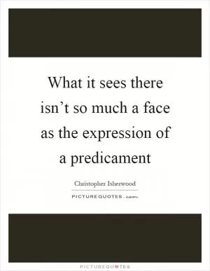 What it sees there isn’t so much a face as the expression of a predicament Picture Quote #1