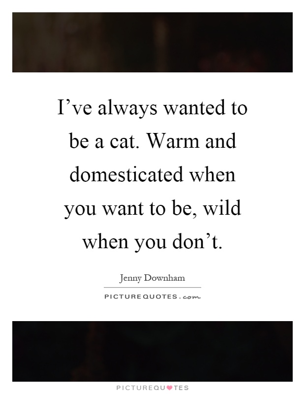 I've always wanted to be a cat. Warm and domesticated when you want to be, wild when you don't Picture Quote #1