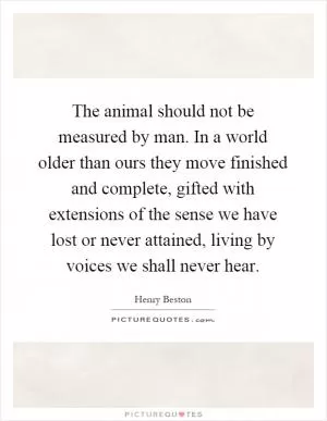 The animal should not be measured by man. In a world older than ours they move finished and complete, gifted with extensions of the sense we have lost or never attained, living by voices we shall never hear Picture Quote #1