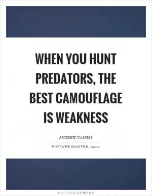 When you hunt predators, the best camouflage is weakness Picture Quote #1