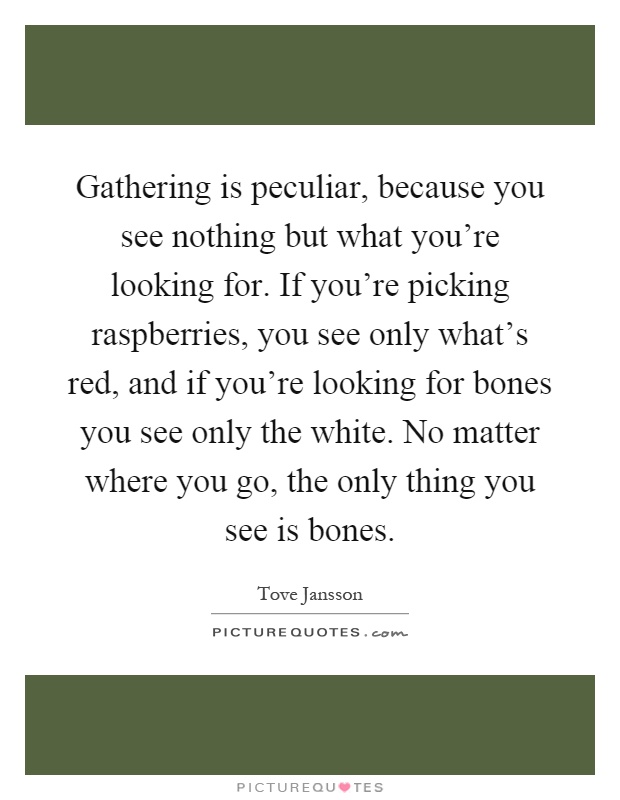 Gathering is peculiar, because you see nothing but what you're looking for. If you're picking raspberries, you see only what's red, and if you're looking for bones you see only the white. No matter where you go, the only thing you see is bones Picture Quote #1