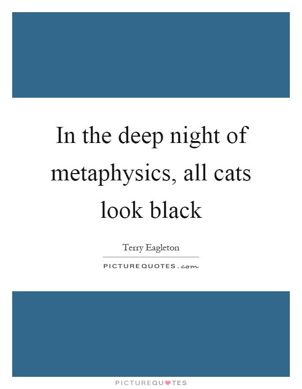 In the deep night of metaphysics, all cats look black Picture Quote #1
