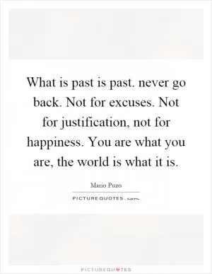 What is past is past. never go back. Not for excuses. Not for justification, not for happiness. You are what you are, the world is what it is Picture Quote #1