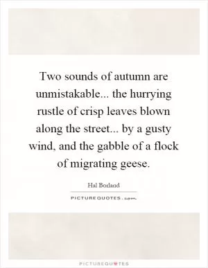 Two sounds of autumn are unmistakable... the hurrying rustle of crisp leaves blown along the street... by a gusty wind, and the gabble of a flock of migrating geese Picture Quote #1