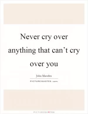 Never cry over anything that can’t cry over you Picture Quote #1