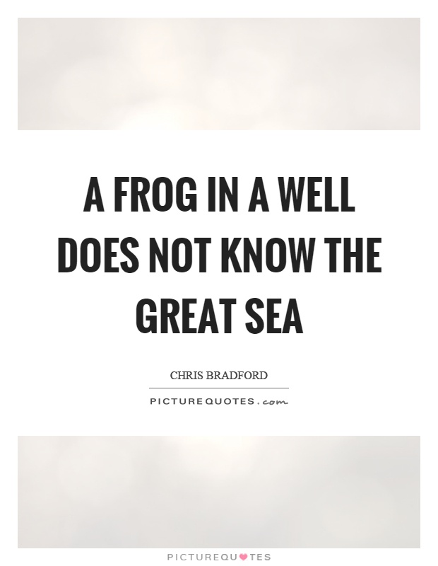 A frog in a well does not know the great sea Picture Quote #1