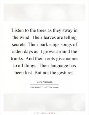 Listen to the trees as they sway in the wind. Their leaves are telling secrets. Their bark sings songs of olden days as it grows around the trunks. And their roots give names to all things. Their language has been lost. But not the gestures Picture Quote #1