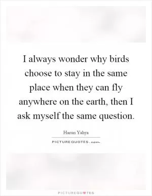 I always wonder why birds choose to stay in the same place when they can fly anywhere on the earth, then I ask myself the same question Picture Quote #1
