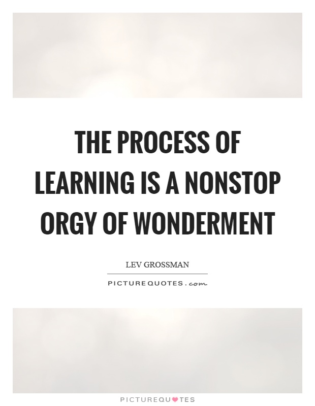 The process of learning is a nonstop orgy of wonderment Picture Quote #1