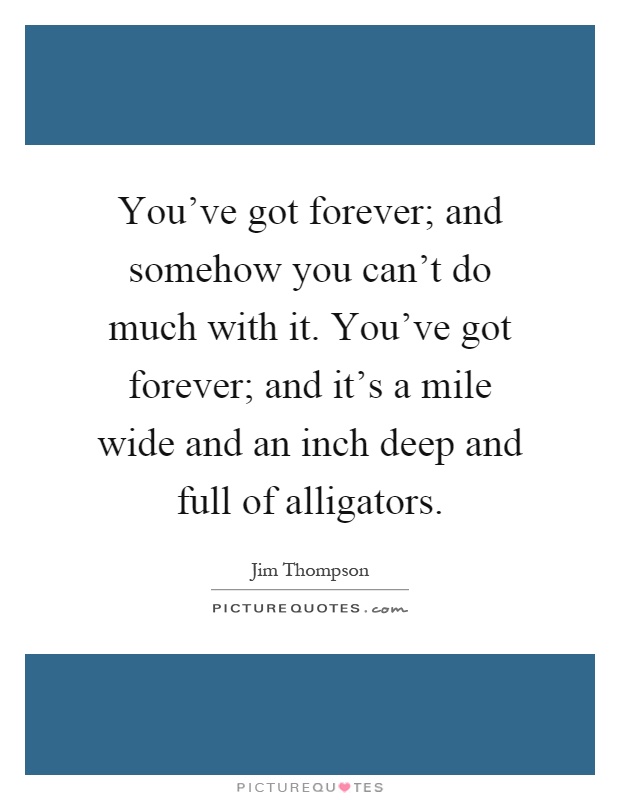 You've got forever; and somehow you can't do much with it. You've got forever; and it's a mile wide and an inch deep and full of alligators Picture Quote #1