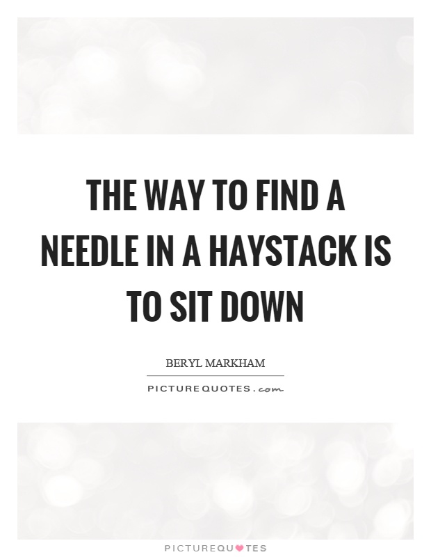 The way to find a needle in a haystack is to sit down Picture Quote #1
