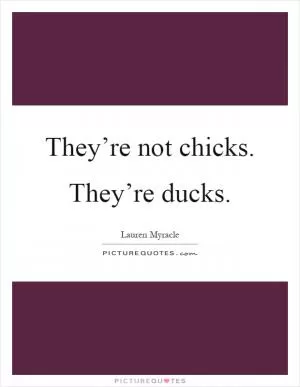 They’re not chicks. They’re ducks Picture Quote #1