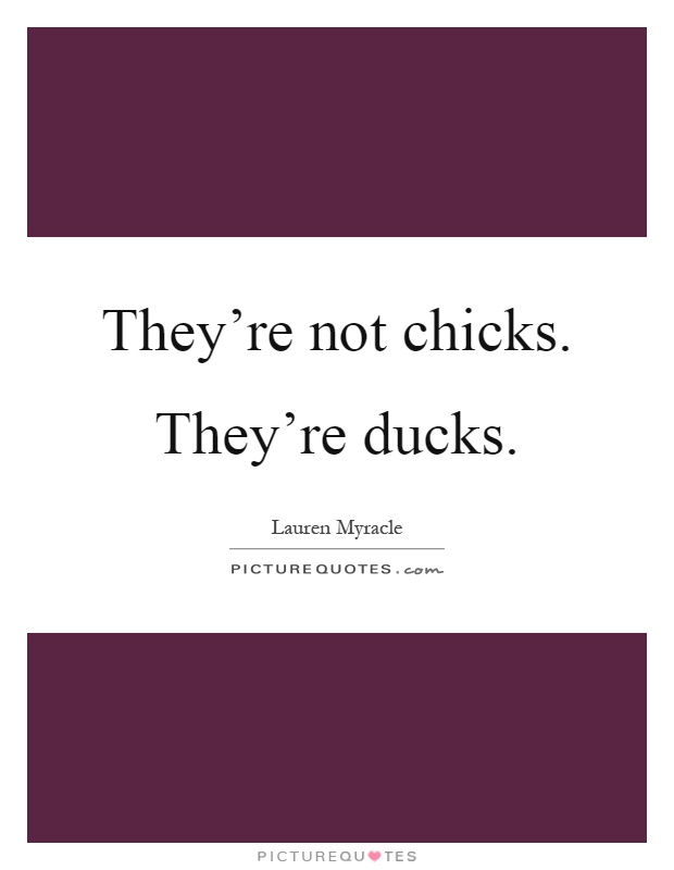 They're not chicks. They're ducks Picture Quote #1