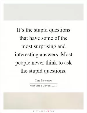 It’s the stupid questions that have some of the most surprising and interesting answers. Most people never think to ask the stupid questions Picture Quote #1