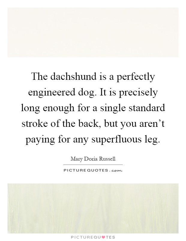 The dachshund is a perfectly engineered dog. It is precisely long enough for a single standard stroke of the back, but you aren't paying for any superfluous leg Picture Quote #1